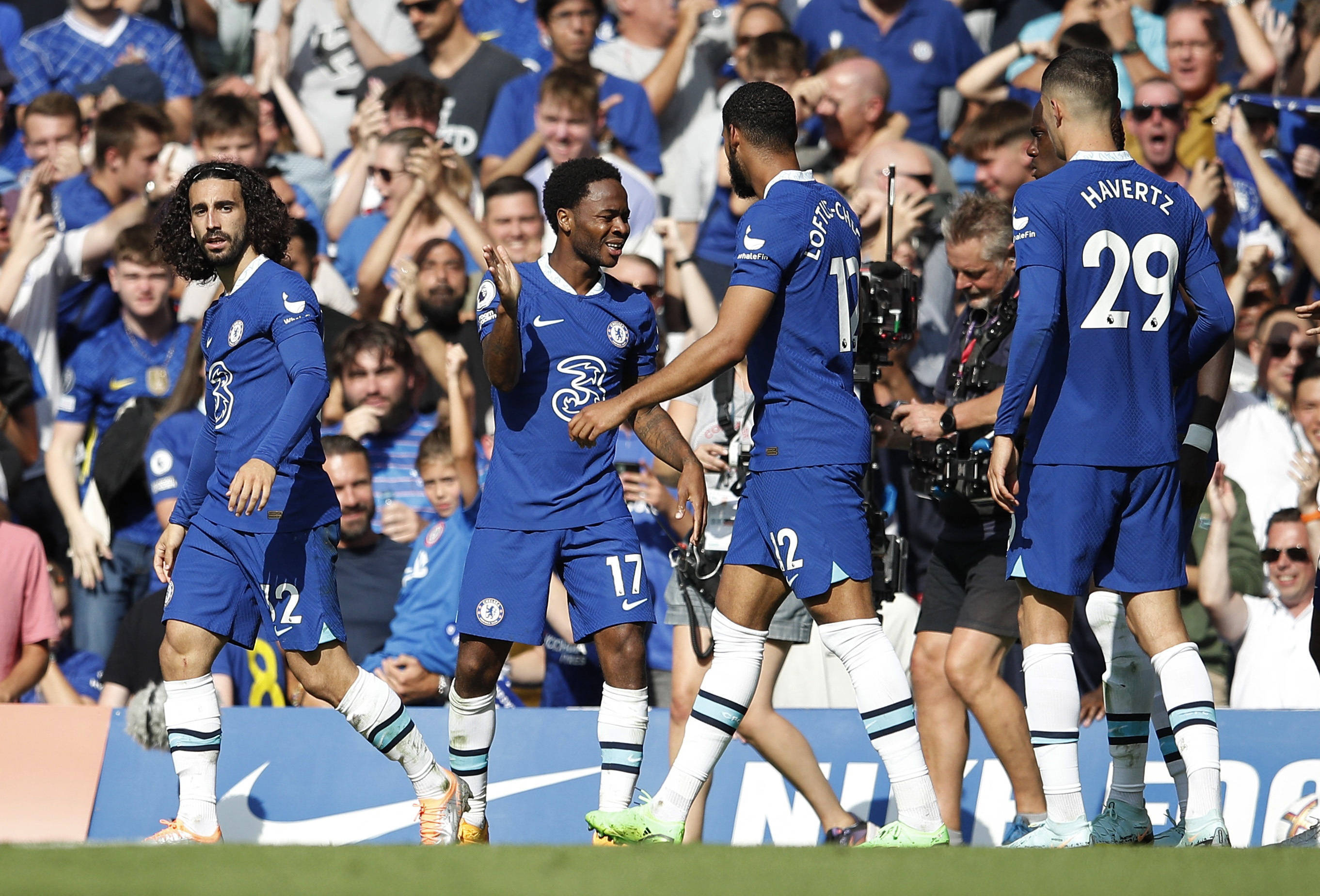 共创式期待 共创式期待